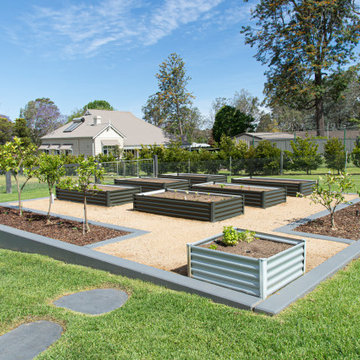 Driveway Dreams and Barbecue Bliss