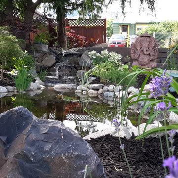 Water Features & Ponds
