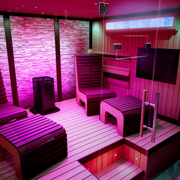 Bathology Experience 480 Luxury Home Sauna