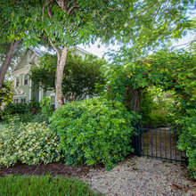 Landscape Ideas