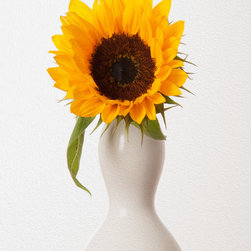 Sunflower - Artwork