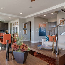 Living Room Ideas