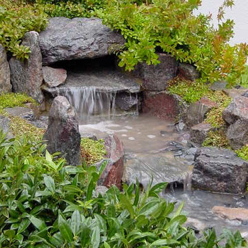 Japanese Stream @ Tree of Life Centre
