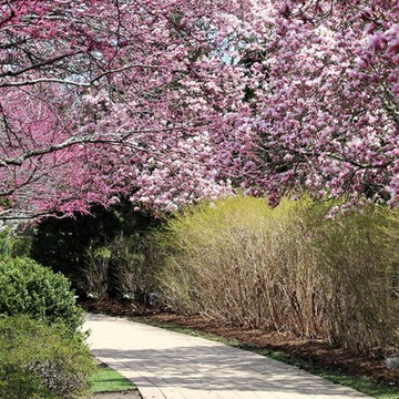 Beautiful Gardens and Accents