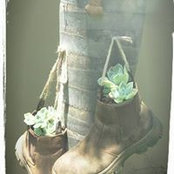 Corrie van Zyl's photo