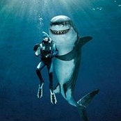 Justin Bruzdzinski's photo