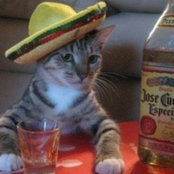 Michelle Wyrick Stricker's photo