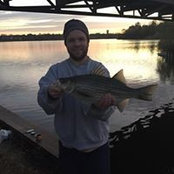 Josh Engelman's photo