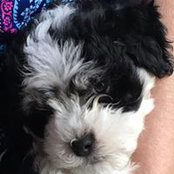 Marilyn Serraino's photo