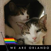 Patricia Klos's photo