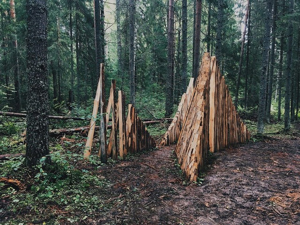 Сказка в Асташово: семь архитектурных образов леса
