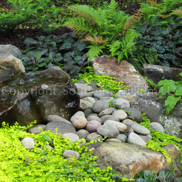 Bubbling Rock