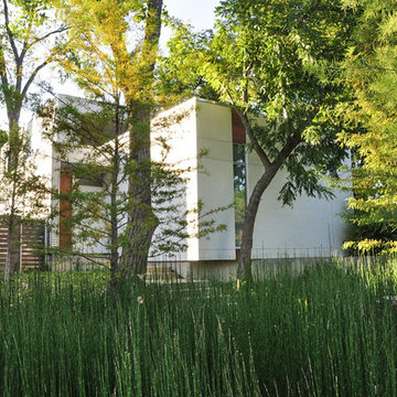 Garden Dialogues: The Dallas Urban Reserve