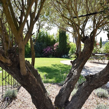 Ensemble Piscine & Jardin aux allures contemporaines et méditérranéennes