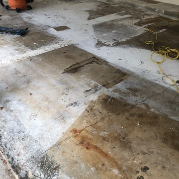 ColorFlake Epoxy Garage Floors