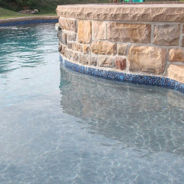 Custom Freeform salt water inground pool with raised spa