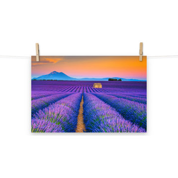 Blooming Lavender Field and Sunset Landscape Photo Unframed Wall Art Prints, 12" X 18"