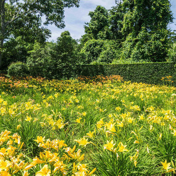 Lily Field for an Ocean View Home, Chatham, MA