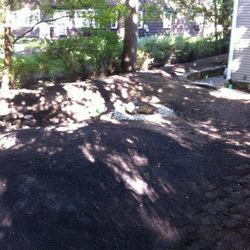 Vegetated Raingarden corrects drainage in Michiana Shores