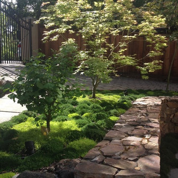 Plantings