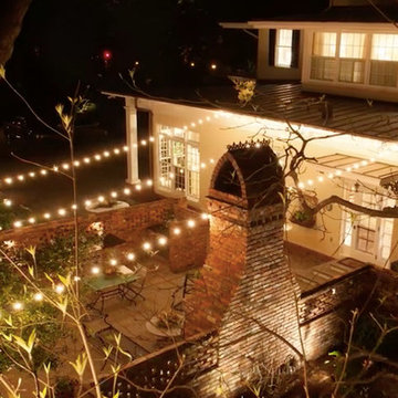 *NEW* Festive Lights!