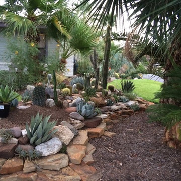 cactus & Succulent Gardens