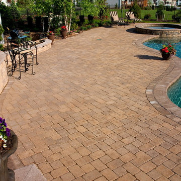 Hollander Project