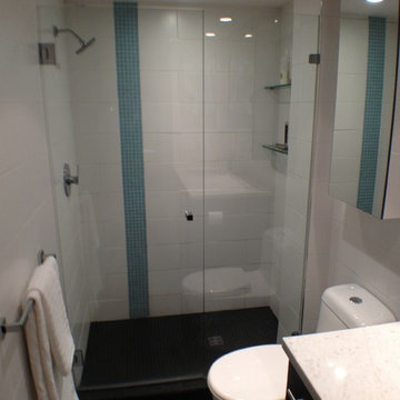 Nelson St. Condo Renovation