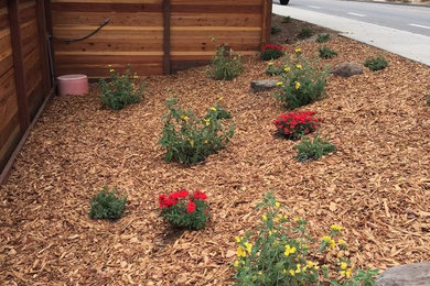 Photo of a contemporary landscaping in Other.