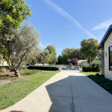 White Brick Exterior with Black Windows and Mature Landscaping - Woodland Hills