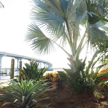 Tropical Landscape Design