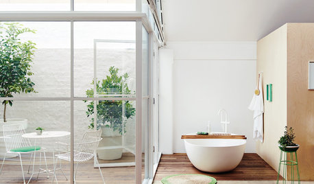 Windows That Expose Your Bathroom to Light Without Exposing You