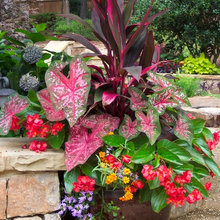 Container Garden