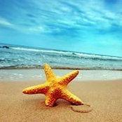 Marie Ledu's photo