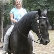 Wendy Whitaker's photo