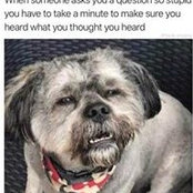 Kimberly Wong's photo