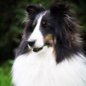 Mona Thorsén's photo