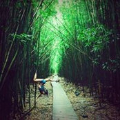 Stina Soo Hoo's photo