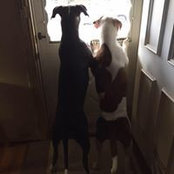 Beth Weaver's photo