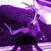 Danny Walker's photo