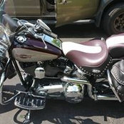 Robert Kramer's photo