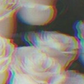Nora Hussayni's photo