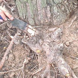 Air excavation - Gardening And Lawn Care