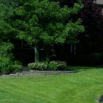 Dang Spring Clean-up/Reclamation