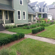 Frontyard