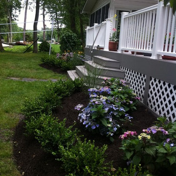 Summer Blooms
