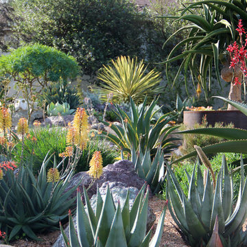 Gardens by Gabriel Demonstration Garden: Layers of Succulents