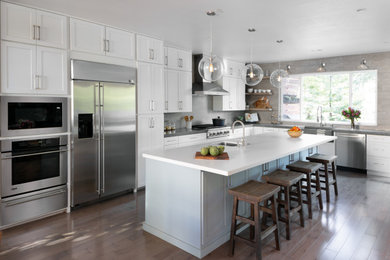 Inspiration for a kitchen remodel in Other