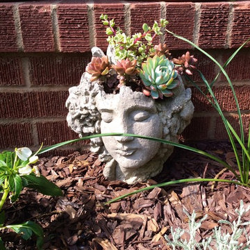 Garden Viewpoints