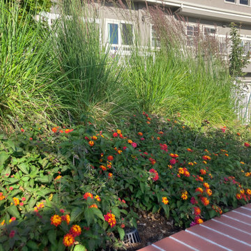 A Facelift for a Broadway Terrace Home